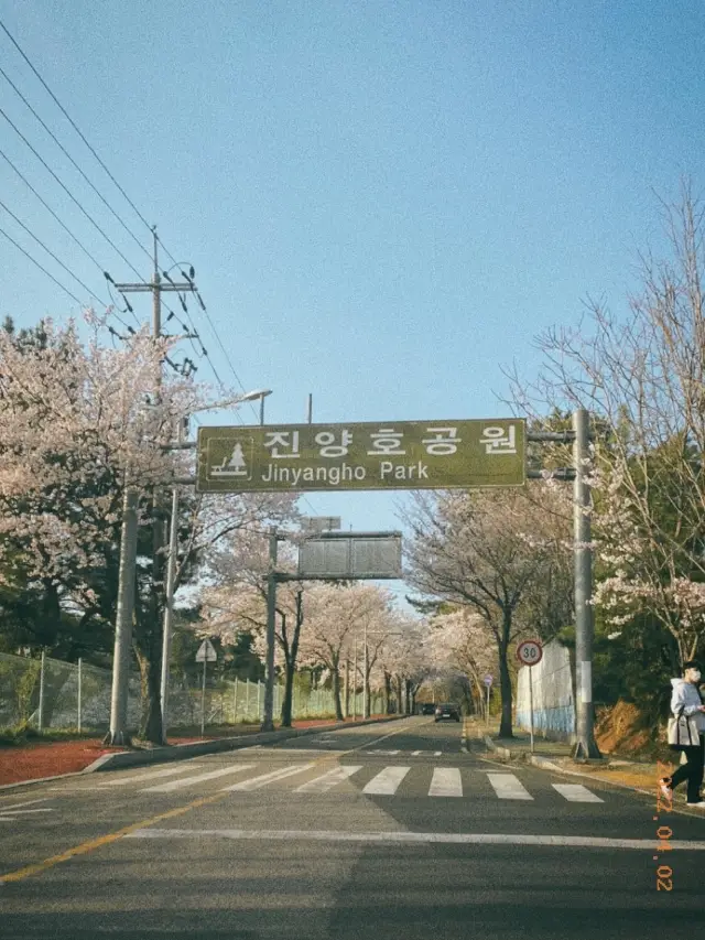 🌸진주 진양호공원🌸