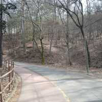 대전 등산 보문산 
