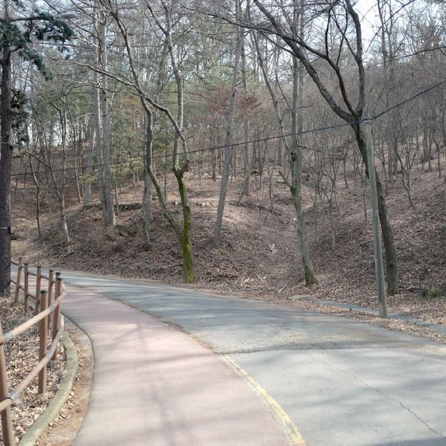 대전 등산 보문산 