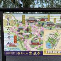 Buổi chiều ở công viên Ueno