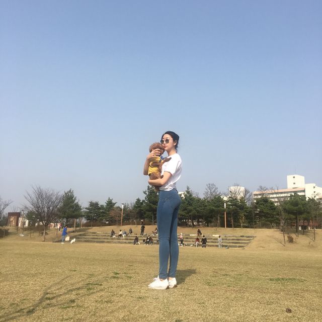 천안 쌍용공원, 강아지들아 모여라~~~ 