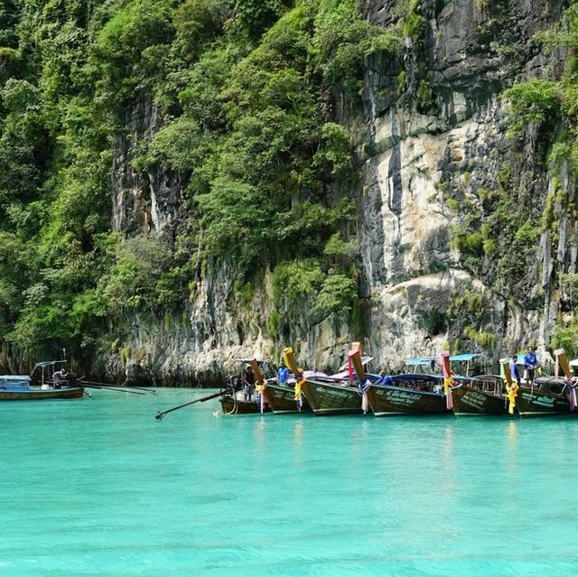 มรดกแห่งท้องทะเล ความงามของธรรมชาติ มรดกแห่งท้องทะเล ความงามของธรรมชาติ