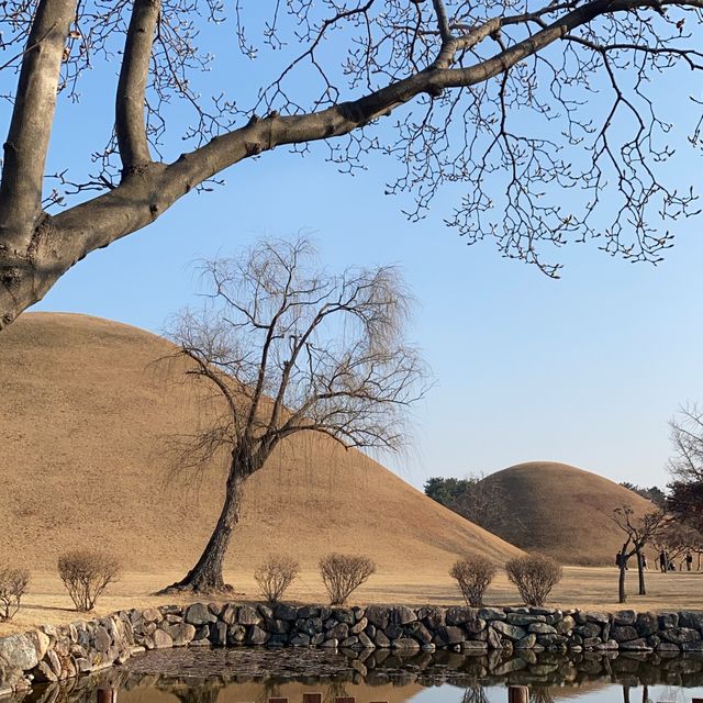 경주에 왔으면 대릉원 포토존은 꼭 !