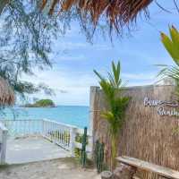 🛖🦩Curve beach cafe 