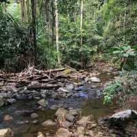 Seven Wells Waterfalls, Langkawi 