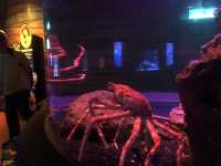 Sea Life Bangkok Ocean World สยามพารากอน