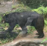 台北市立動物園