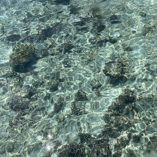 투명한 에메랄드빛 바다, 인도네시아 발리 누사페니다