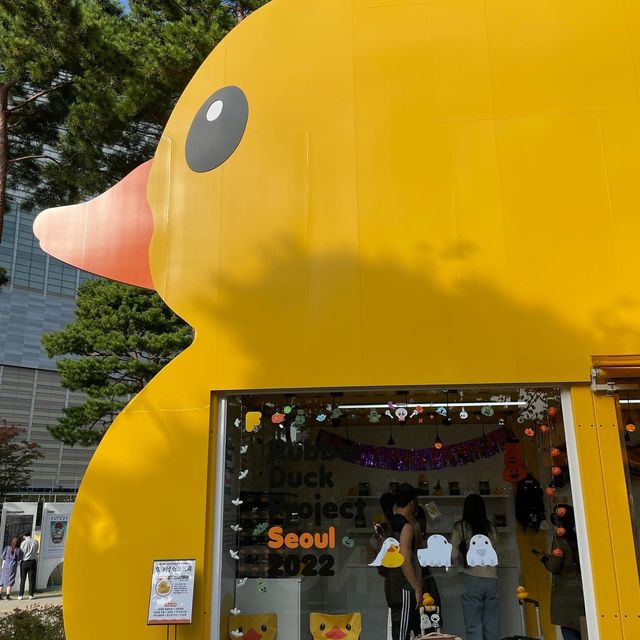 8년만에 석촌호수에 나타난 러버덕🐥 :주차꿀팁✨