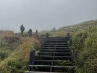 南投爬山去｜合歡山北峰、東峰，我登頂了
