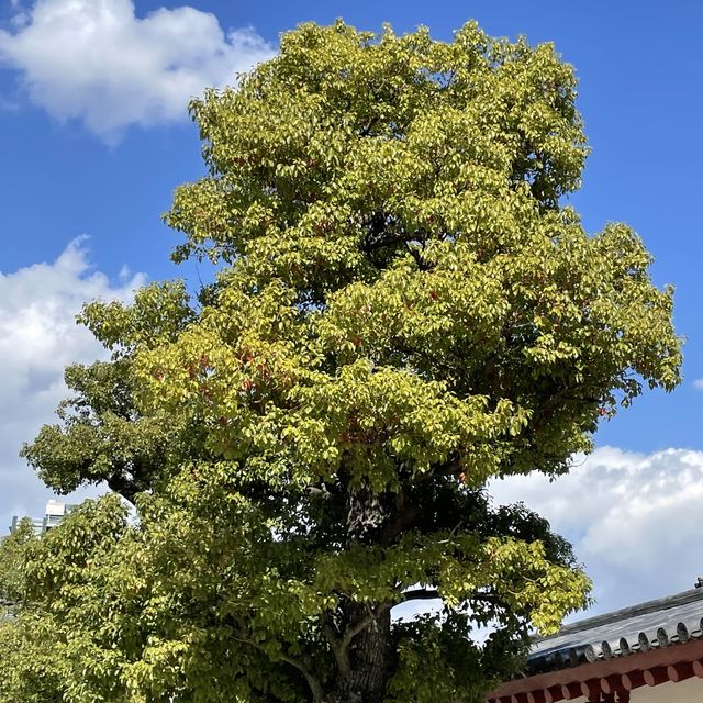 【大阪府】歴史深い四天王寺へ