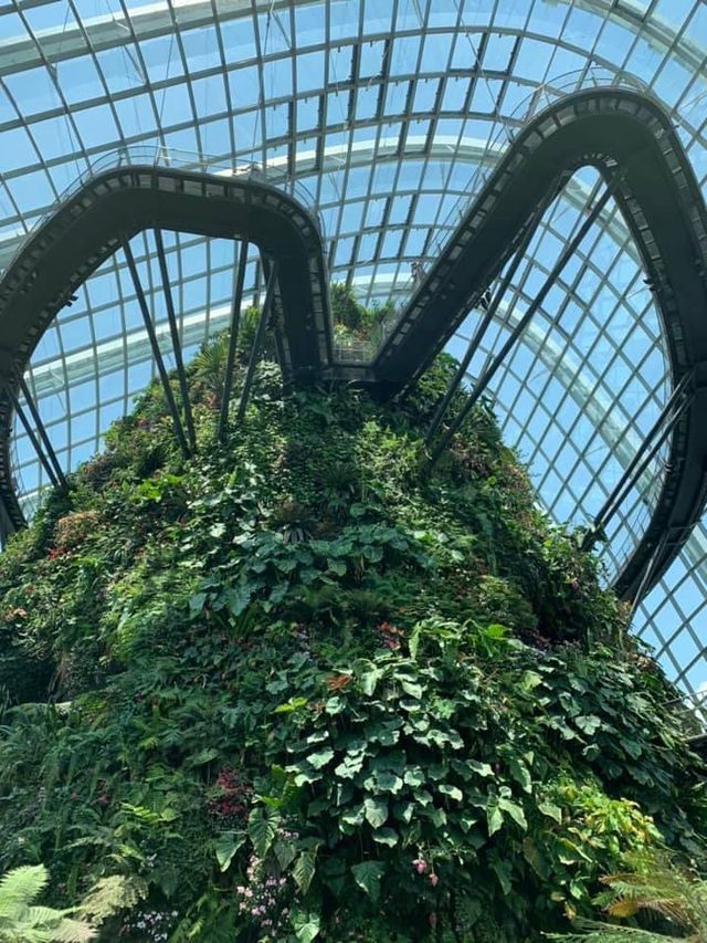 🌿🌿 Cloud Forest  “เมืองในหมอก” สิงคโปร์🦁