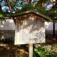 紅葉見に行こ～うよ～【禅林寺 永観堂】✨