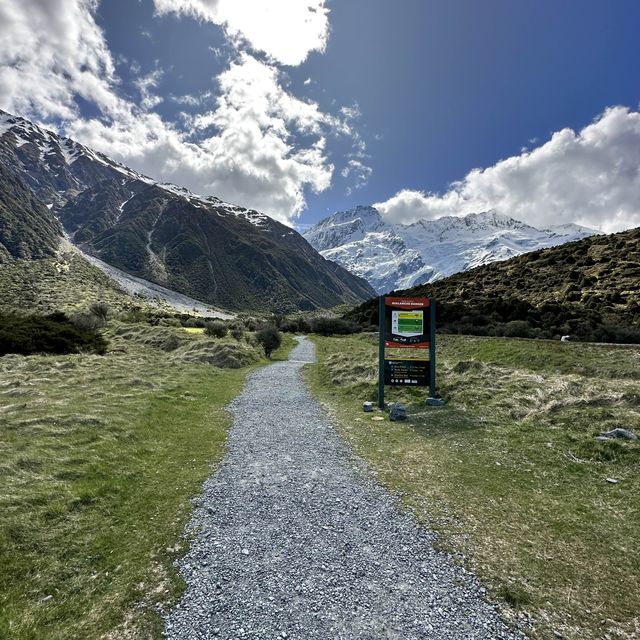 NZ Mt Cook Kea Point 