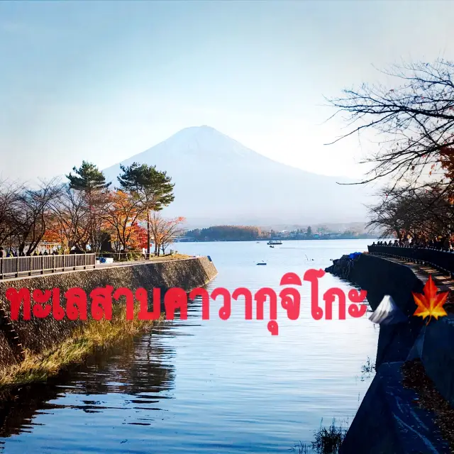 ทะเลสาบคาวากุจิโกะ (Kawaguchiko Lake)🗻🍁