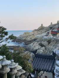 BUSAN✨