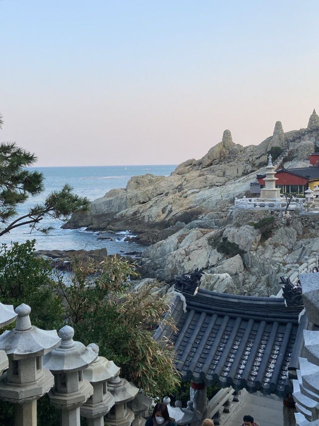 BUSAN✨