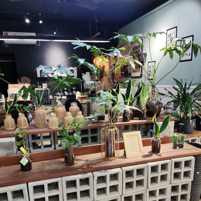 Naug Cafe Plants Make People Happy