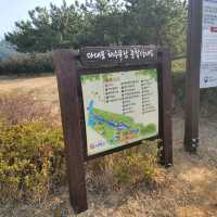 다대포 해수욕장