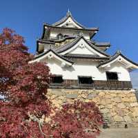 滋賀県　彦根城の紅葉