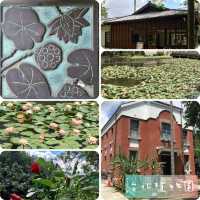 台北植物園🪵🪵賞花溫室自然公園