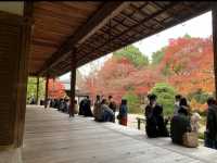 京都[紅葉めぐり] 南禅寺　天授庵- 枯山水庭園にて和む -