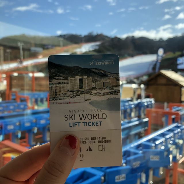 겨울에는 역시 스키장 ⛷🏂