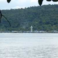 สถานีพัฒนาทรัพยากรป่าชายเลนที่ 4 เกาะช้าง