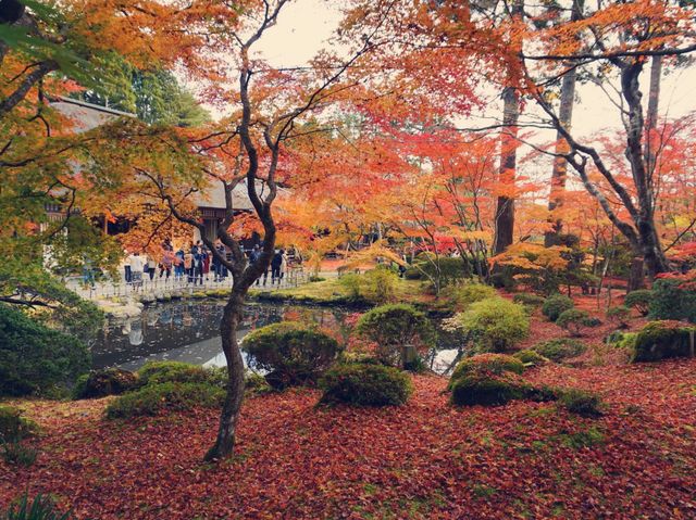 松島　円通院