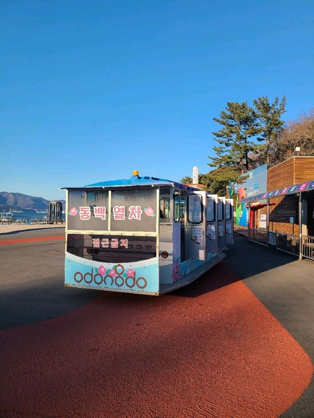 [여수] 동백열차 타고 오동도 한바퀴