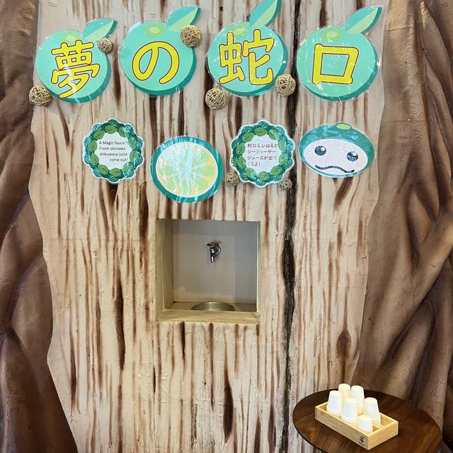 【沖縄･本島】夢の蛇口からジュースが出てくる😍