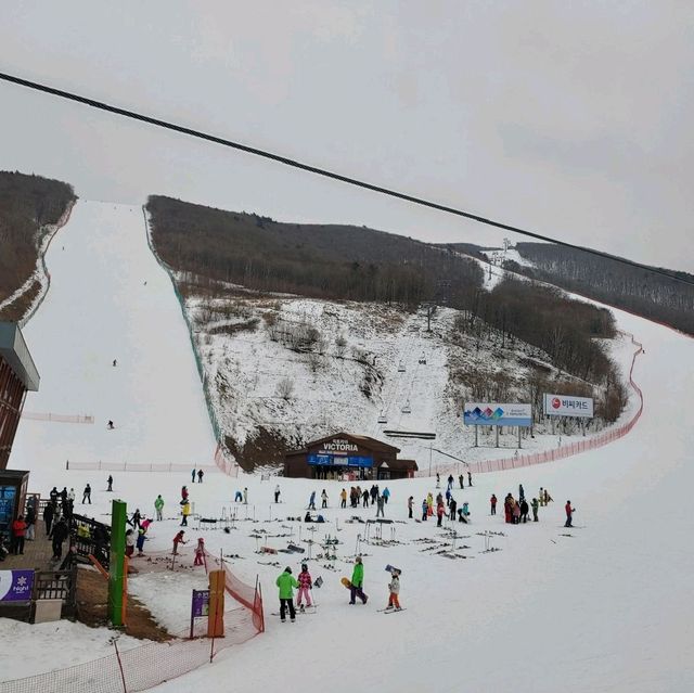 정선 하이원리조트: 엘사라도 나올 것 같은 겨울왕국❄️