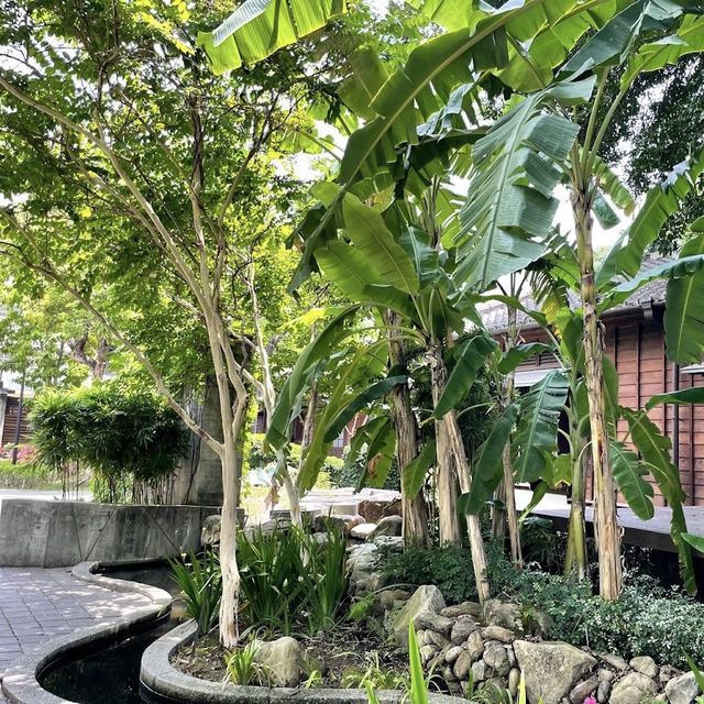 台中文學館 🖌 有著巨大的老榕樹🌳