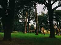 英國Nottingham Wollaton Park - 蝙蝠俠與小鹿
