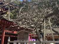 学問の神⛩福岡県太宰府天満宮