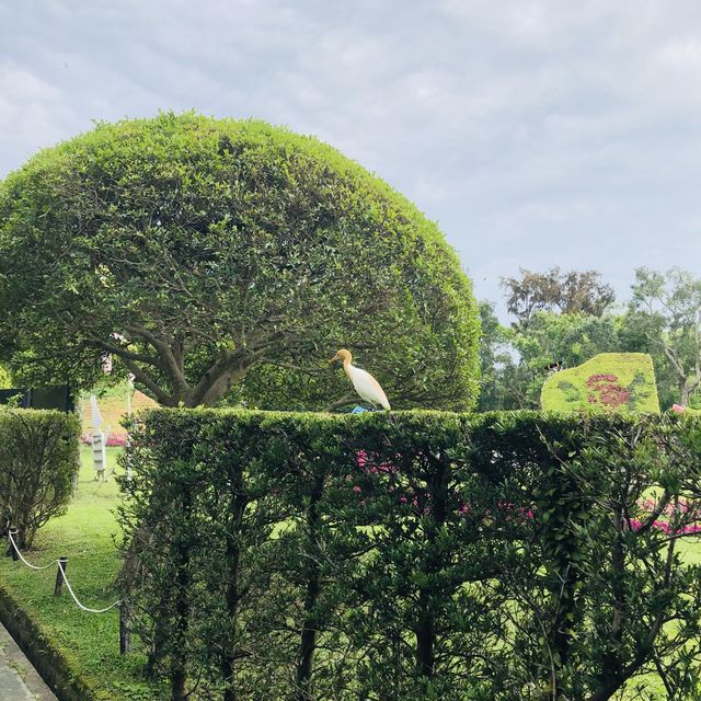 大公主在此👸🏻士林官邸💯不再錯過的美麗花園🌹🌷💐🌺🌸🌼🌻