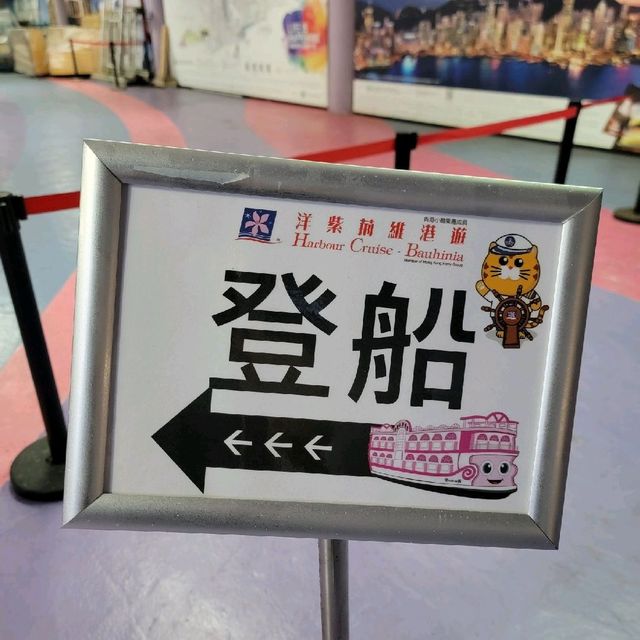 洋紫荊維港遊⛴️自助餐+開篷巴士遊