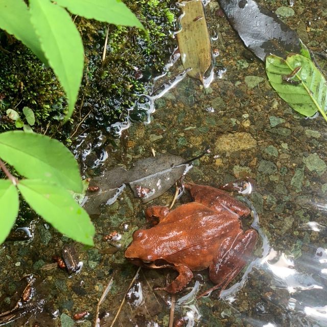 福井県の青葉山に行ってきた！