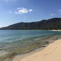 素朴で手付かずな自然の残る奄美大島が好き❣️