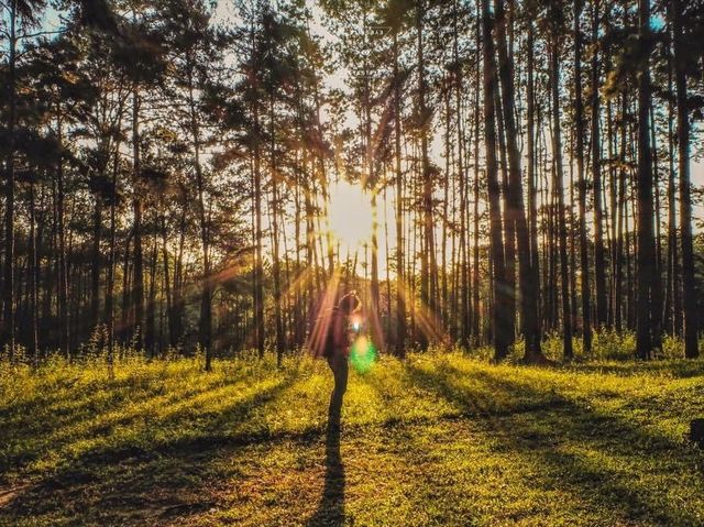 วืวดีๆที่สวนสนบ่อแก้ว🍃💚