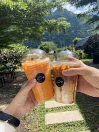หุบป่าตาด bike camp คาเฟ่สุดชิคสายธรรมชาติ