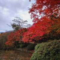 Colours at Bulguksa Temple  Gyeongju