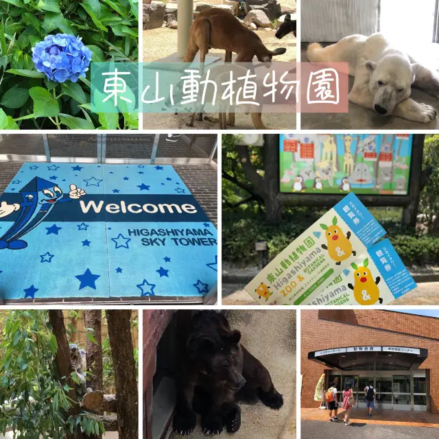 名古屋超大東山植物動物園😝大人🧑細路👦🏻都鍾意❤️半日放電景點