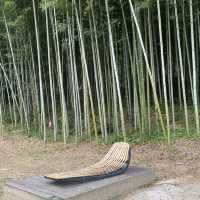 Juknokwon bamboo forest in Autumn