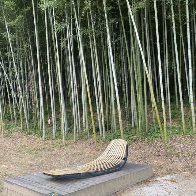 Juknokwon bamboo forest in Autumn