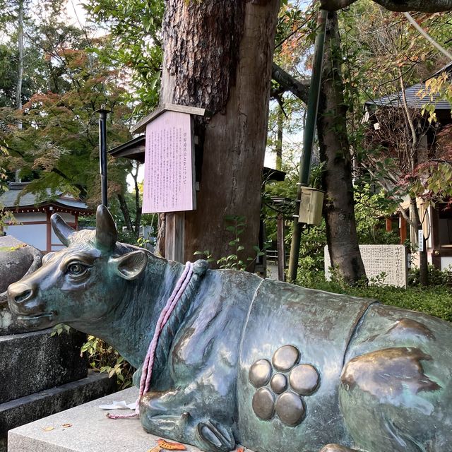 【京都】四季折々の花が楽しめる天満宮