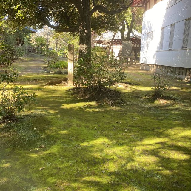 【東京都】秋の妖怪・天狗門🍁　哲学堂公園