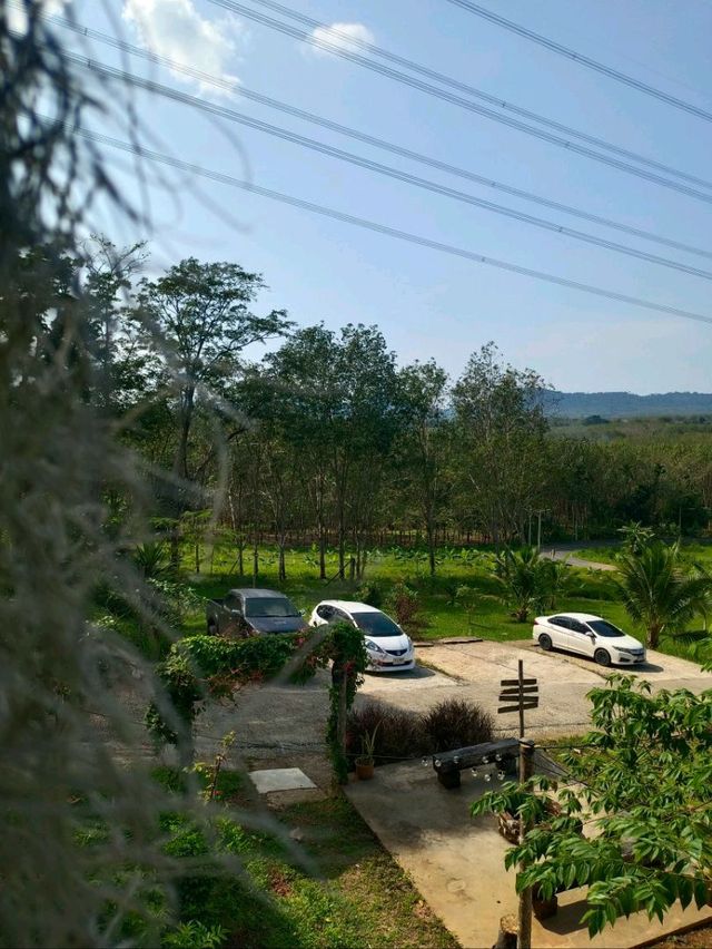 แฟชมเขา สวนตาวิน