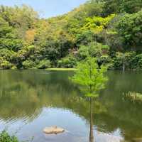秋天郊遊好去處（bb級）