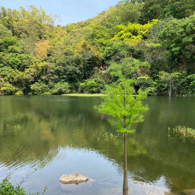 秋天郊遊好去處（bb級）